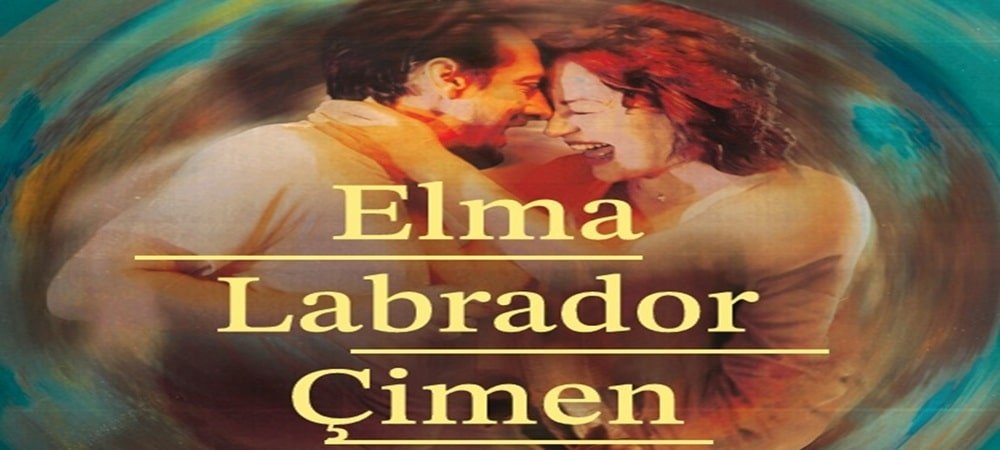 Elma Labrador Çimen Seyirciden Tam Not Aldı